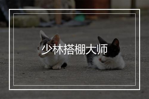 少林搭棚大师