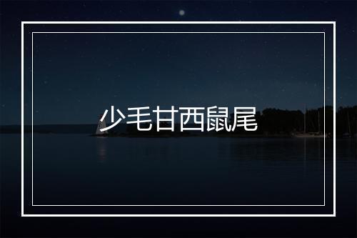 少毛甘西鼠尾