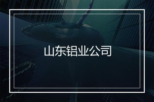 山东铝业公司