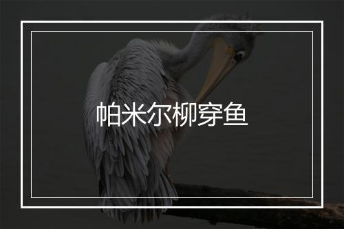 帕米尔柳穿鱼