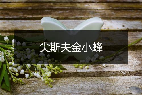 尖斯夫金小蜂