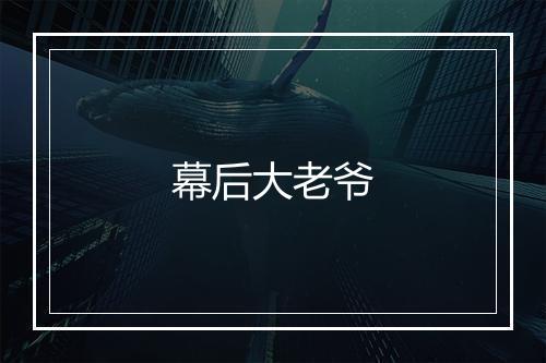 幕后大老爷