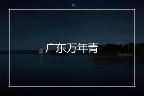 广东万年青