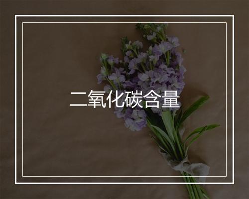 二氧化碳含量