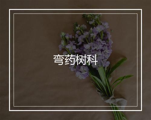 弯药树科