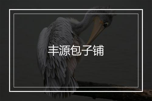 丰源包子铺