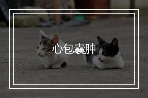 心包囊肿