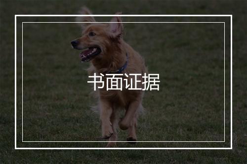 书面证据