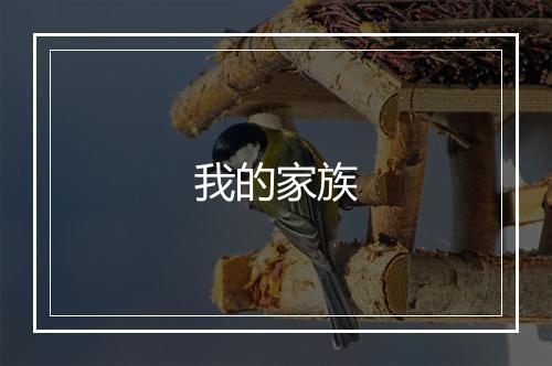 我的家族