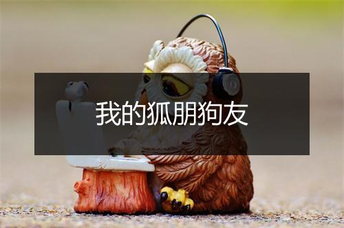 我的狐朋狗友