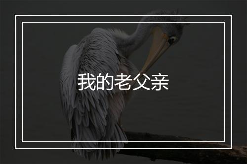 我的老父亲