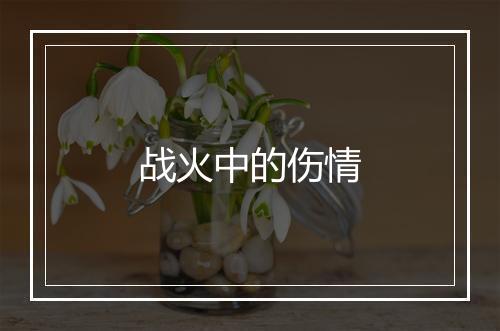 战火中的伤情