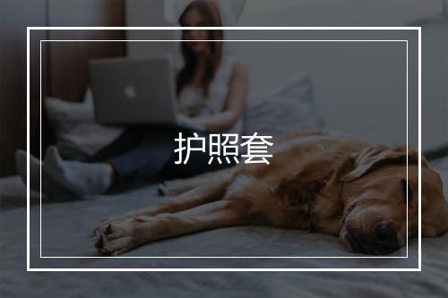 护照套