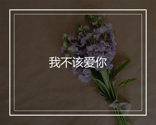 我不该爱你