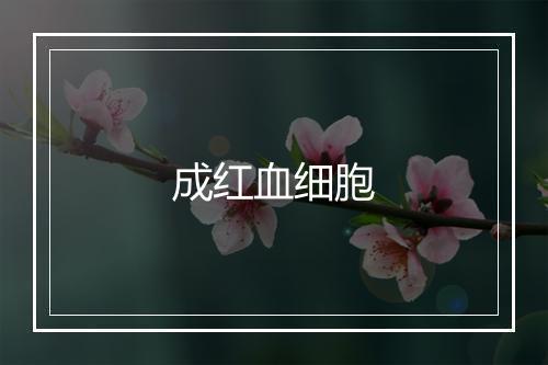 成红血细胞