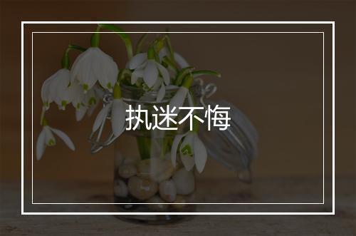 执迷不悔