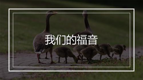 我们的福音