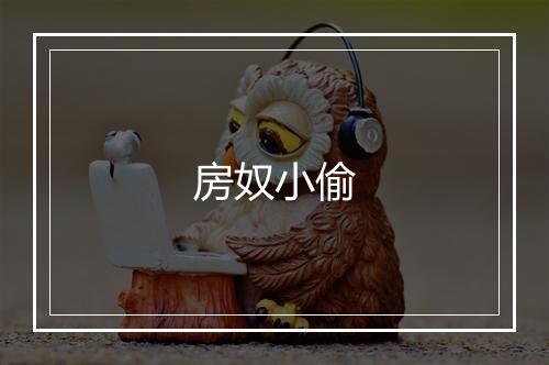 房奴小偷