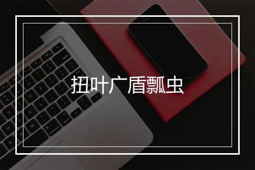 扭叶广盾瓢虫