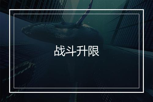 战斗升限