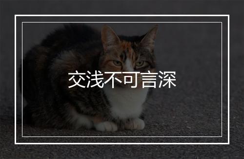 交浅不可言深