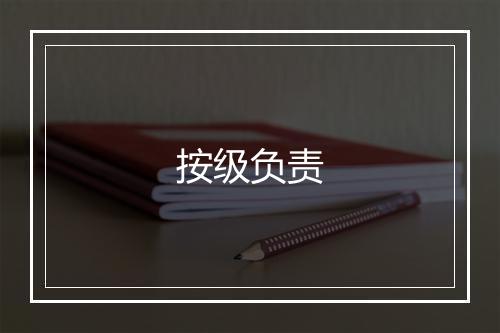 按级负责