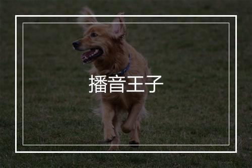 播音王子