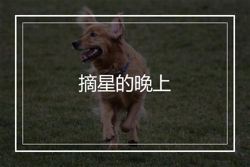 摘星的晚上