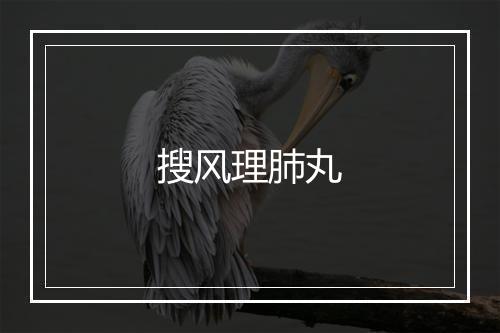 搜风理肺丸