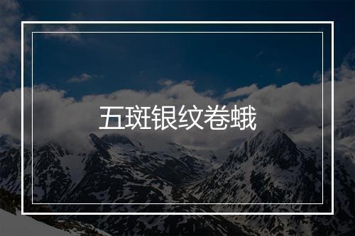 五斑银纹卷蛾