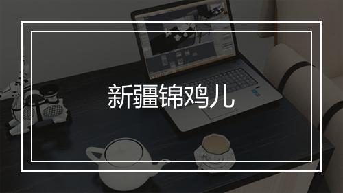 新疆锦鸡儿