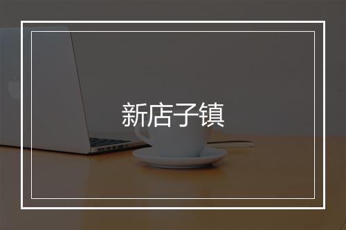 新店子镇