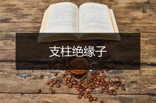 支柱绝缘子