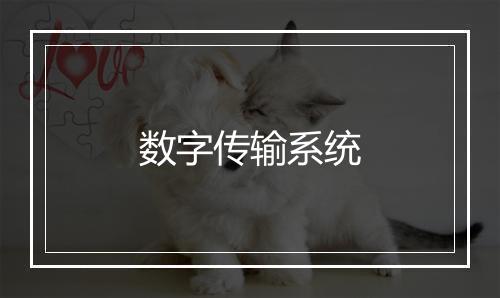 数字传输系统