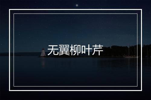 无翼柳叶芹