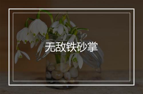 无敌铁砂掌