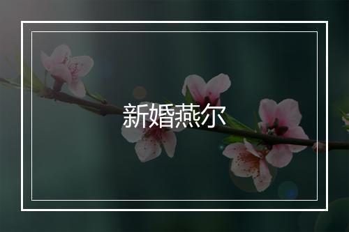 新婚燕尔