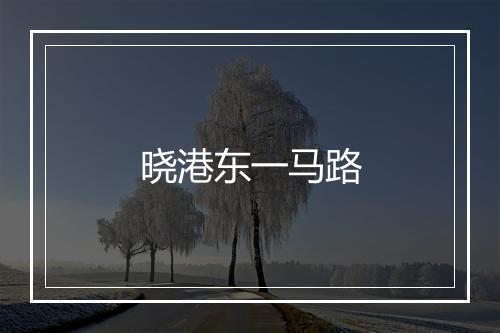 晓港东一马路