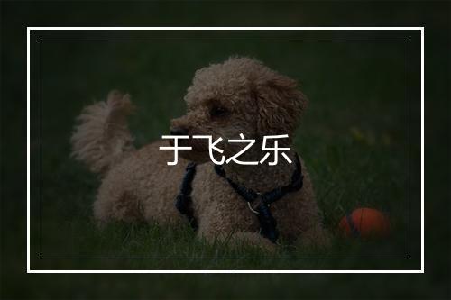 于飞之乐