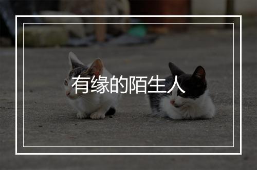 有缘的陌生人