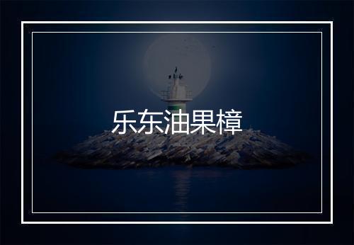 乐东油果樟