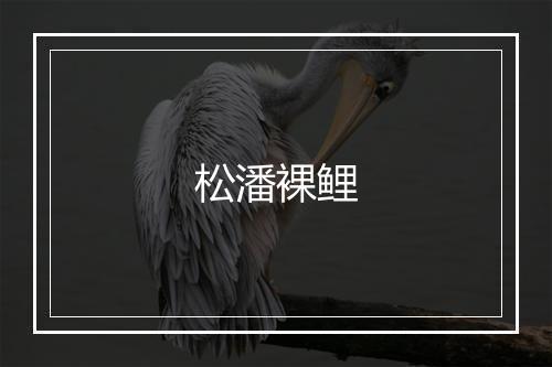 松潘裸鲤