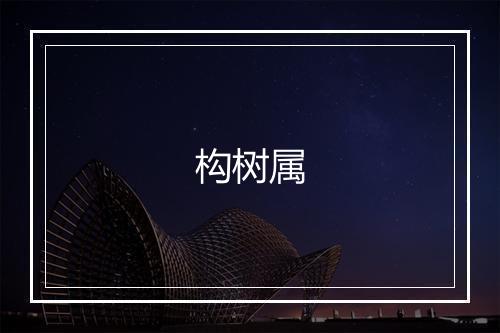 构树属