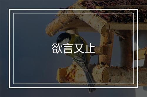 欲言又止