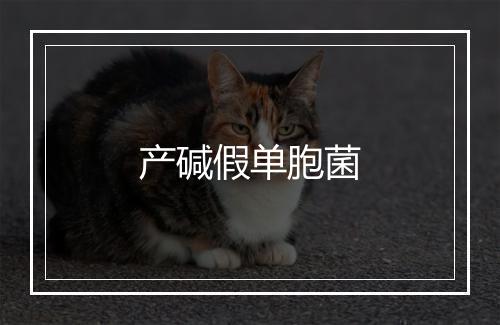 产碱假单胞菌