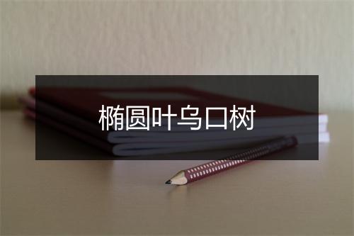 椭圆叶乌口树