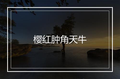 樱红肿角天牛