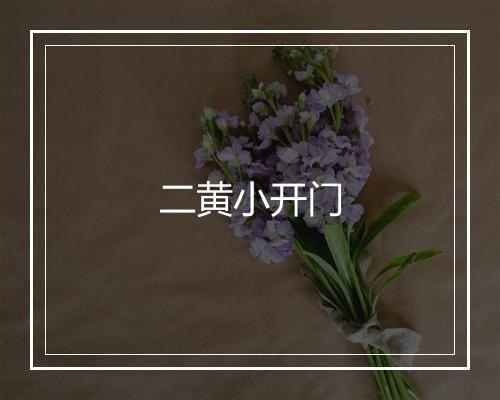 二黄小开门