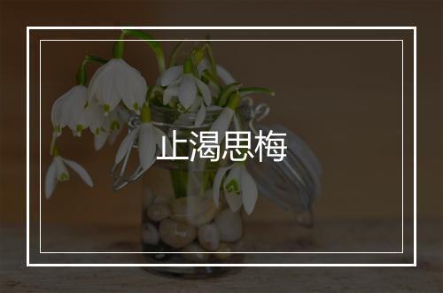 止渴思梅