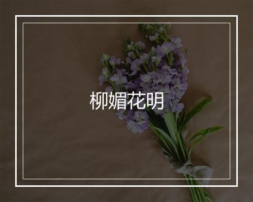 柳媚花明